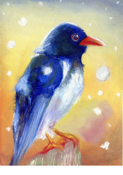 Roodbekekster met sneeuwklokjes, 2012 door Nancy Moniz Charalambous